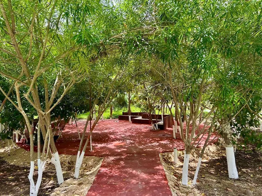 Comodo Y Hermoso Departamento Para 5 En Tulum Ir22 0*,  Mexico